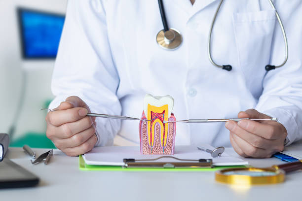 Best Emergency Wisdom Tooth Extraction in Timber Pines, FL